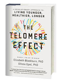 The Telomere Effect by Elizabeth Blackburn PHD